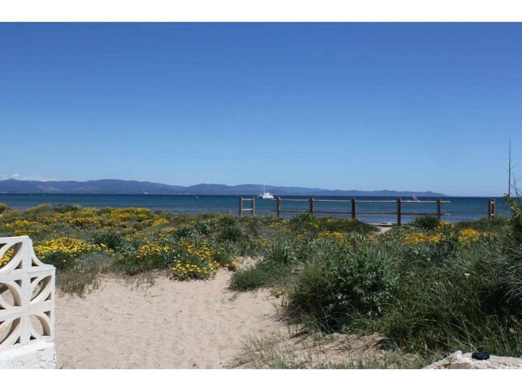 Studio Surequipe Les Pieds Dans L'Eau Apartment Hyeres Exterior photo